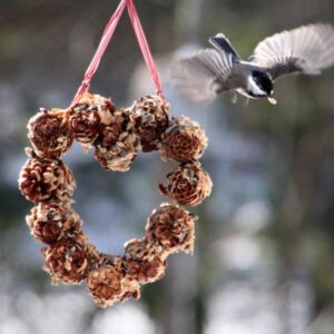 Pinecone-Bird-Feeder