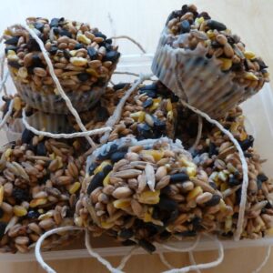 bird-seed-cake